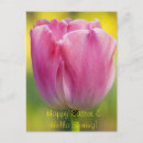 Suche nach stationär postkarten Rosa