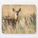 Suche nach wiese mousepads Fotografie