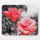 Suche nach romantische rosen mousepads Natur
