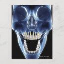 Suche nach menschliche zähne postkarten Vertikal