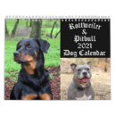 Suche nach pitbulls kalender Tier