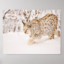 Suche nach der jäger poster Schnee