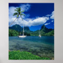 Suche nach yacht poster Segel