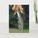 Suche nach nektar karten Blume