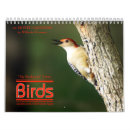 Suche nach specht kalender Spatz