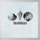 Suche nach vintage muscheln poster Strand