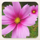 Suche nach kosmos blume untersetzer Natur