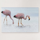 Suche nach flamingo puzzle Bunt