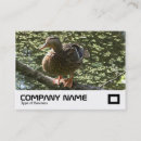 Suche nach duck visitenkarten Geschäftlich