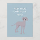 Suche nach weimaraner hund postkarten Wweimaraner