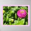 Suche nach zinnia poster Natur