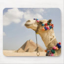 Suche nach pyramiden mousepads Architektur