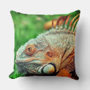 Suche nach reptilien kissen Eidechsen