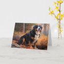 Suche nach bern karten Haustier