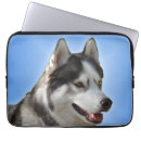 Suche nach sibirischer husky laptop schutzhüllen Wolf