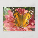 Suche nach zinnia blume postkarten Rosa