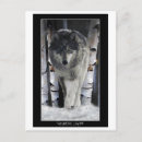 Suche nach wolf pack poster Winterwolf