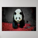 Suche nach panda bear poster Tragen
