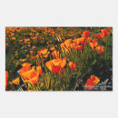 Suche nach blumenbilder aufkleber Naturfotografie