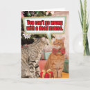 Suche nach lustige maus karten Katzen