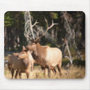 Suche nach elch mousepads Wild lebende tiere