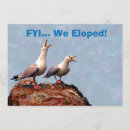 Suche nach seemöwe einladungen Möve