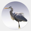 Suche nach heron aufkleber Vögel