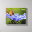 Suche nach honigbiene leinwandbilder Gelb