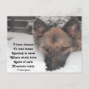 Suche nach gsd postkarten Hunde