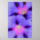 Suche nach rosa lila poster Künstlerisch