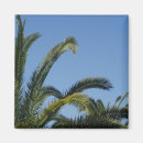 Suche nach palme magnete Blau