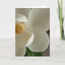 Suche nach magnolie karten Fotografie