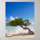 Suche nach aruba poster Reise