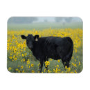 Suche nach feld magnete Sonnenblumen