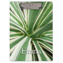 Suche nach pflanze klemmbrett Grün