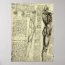 Suche nach menschliches bein poster Gesundheitswesen