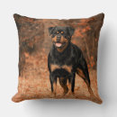 Suche nach rottweiler kissen Tiere