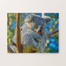 Suche nach koala puzzle Wildlife