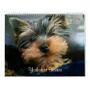 Suche nach yorkie kalender Yorkshire terrier