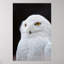 Suche nach ohr poster Natur