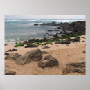 Suche nach hawaii meeresschildkröten poster Tropisch