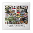 Suche nach pet fliesen Foto collage