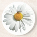 Suche nach summen untersetzer Biene