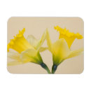 Suche nach farbige blume magnete Flora