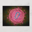 Suche nach protein postkarten Sphäre