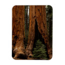 Suche nach riesen magnete Park