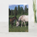 Suche nach araber karten Bob langrish