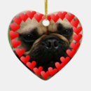 Suche nach valentinsgrüße sind sie das ornamente Hund