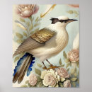 Suche nach federn poster Elegant
