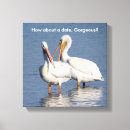 Suche nach lustige vögel leinwandbilder Weiß